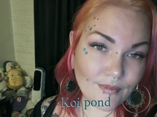 Koi_pond