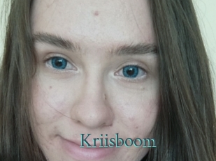 Kriisboom