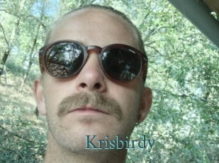 Krisbirdy