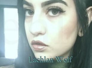 Lachlan_Wolf En live show