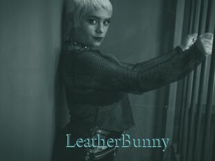 LeatherBunny