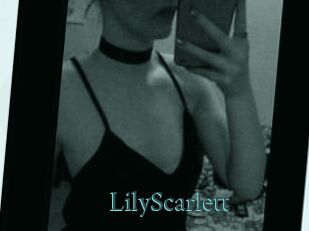 Lily_Scarlett