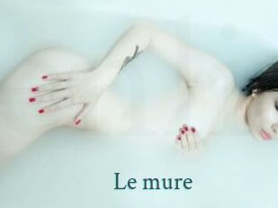 Le_mure