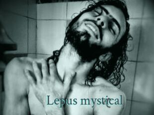 Lepus_mystical