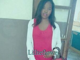 Lillteflower