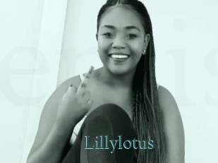 Lillylotus