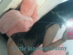 Little_innocent_bunny