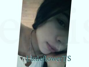 LittleflowerTS