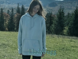 Lladybugg