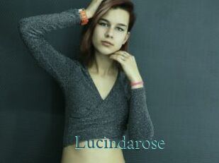 Lucindarose