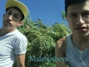 Malehotboys