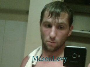 Mason_Levy