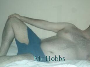 Mr_Hobbs