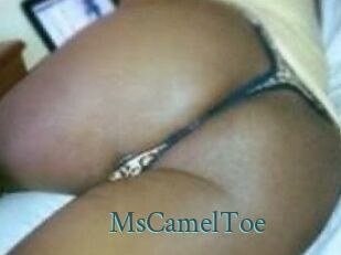 MsCamelToe