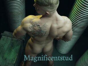 Magnificentstud