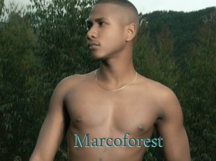 Marcoforest