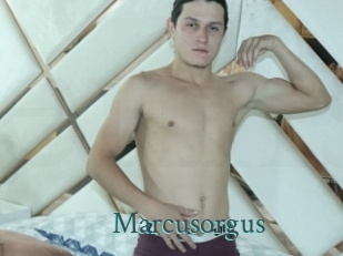 Marcusorgus