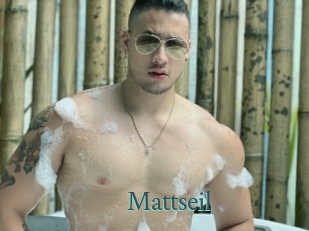 Mattseil