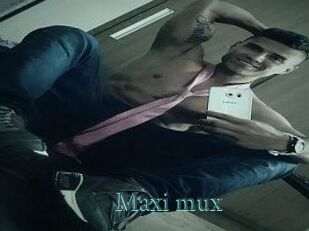 Maxi_mux