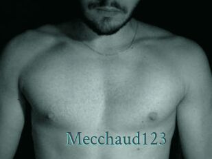 Mecchaud123