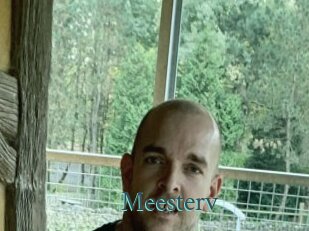 Meesterv