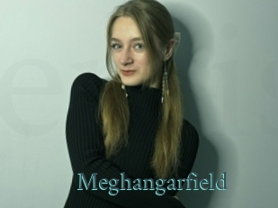 Meghangarfield