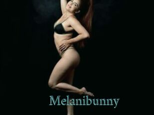 Melanibunny