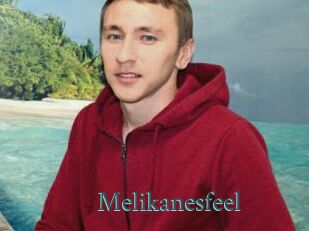 Melikanesfeel