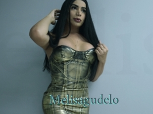 Melisagudelo