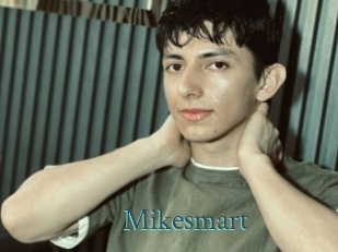 Mikesmart
