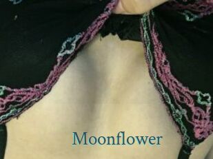 Moonflower