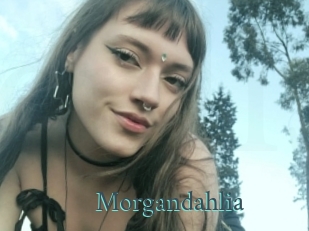 Morgandahlia