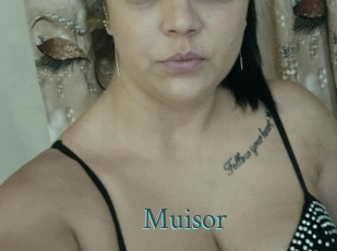 Muisor