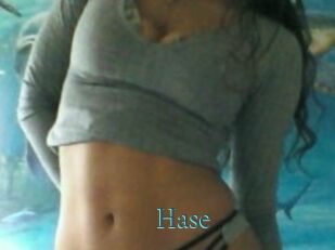 Hase