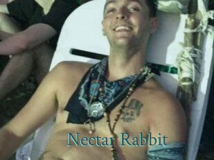 Nectar_Rabbit