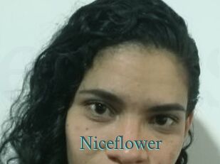 Nice_flower