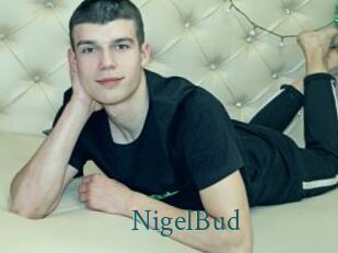 NigelBud