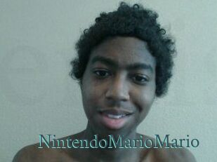 NintendoMarioMario