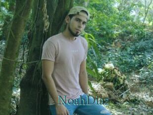 NoahDiaz En live show