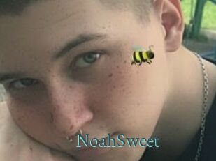 NoahSweet