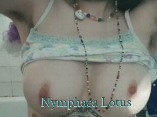 Nymphaea_Lotus