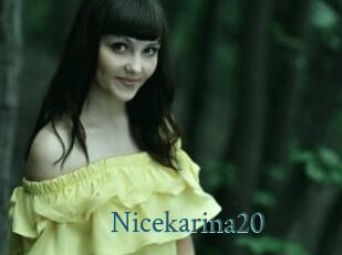 Nicekarina20