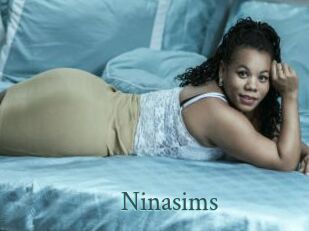 Ninasims