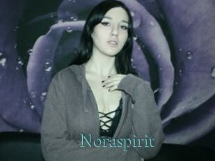 Noraspirit