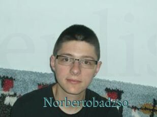 Norbertobadzso