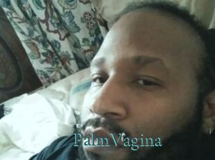 PalmVagina