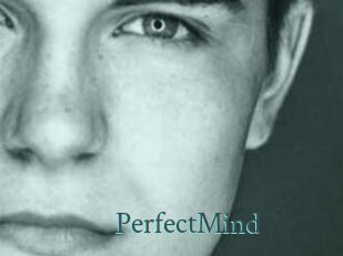 PerfectMind