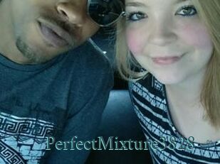 PerfectMixture3828