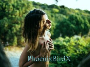 PhoenixBirdX En live show