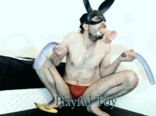 Playful_Toy